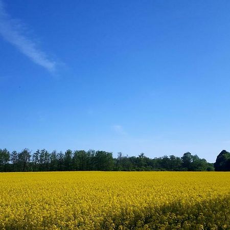 Ferienwohnung Urte In Putgarten , Kap Arkona Ruegen Eksteriør bilde
