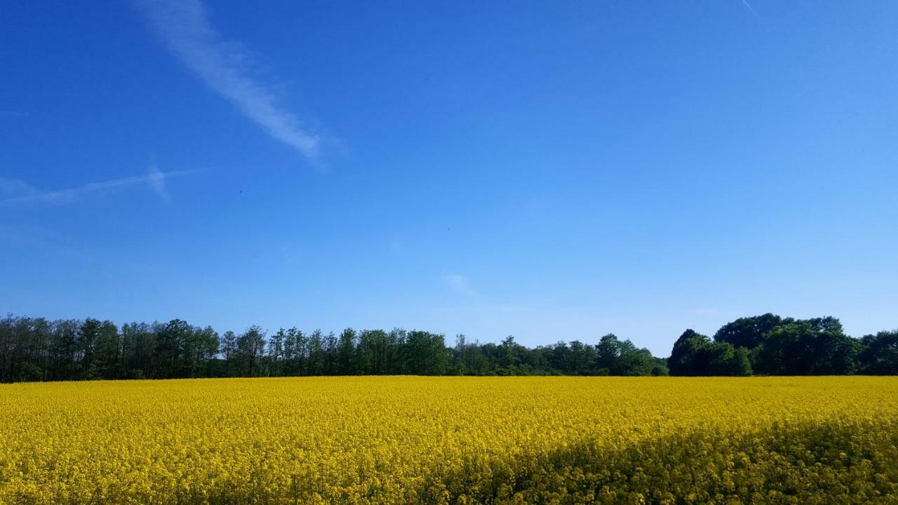 Ferienwohnung Urte In Putgarten , Kap Arkona Ruegen Eksteriør bilde